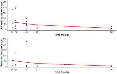 The Role of Nile Tilapia (Oreochromis niloticus) in the Life Cycle of Toxocara spp.